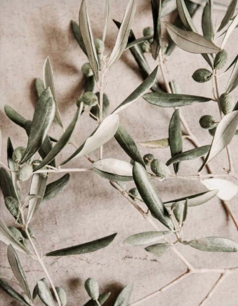 Empowering Women Through God’s Word