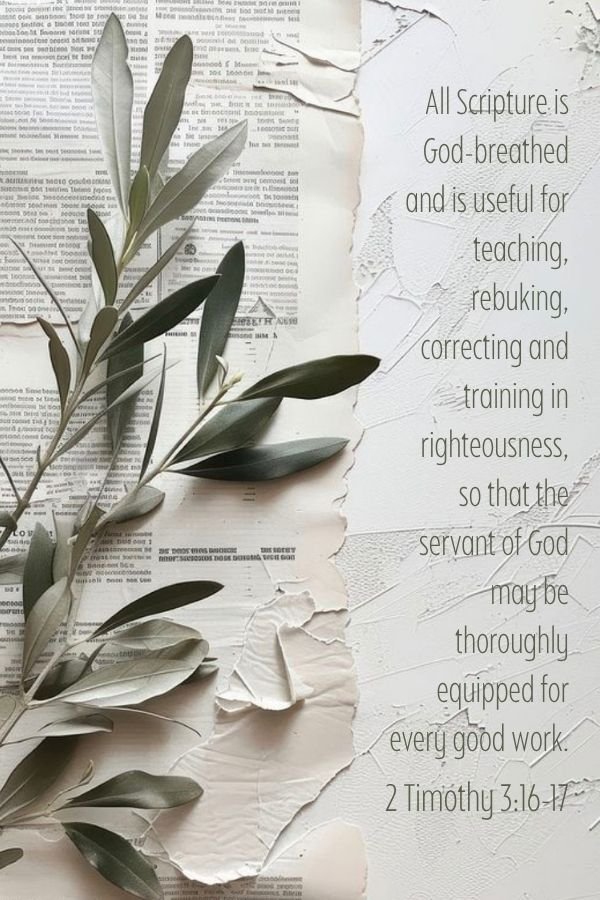 Bible Study vs Devotional