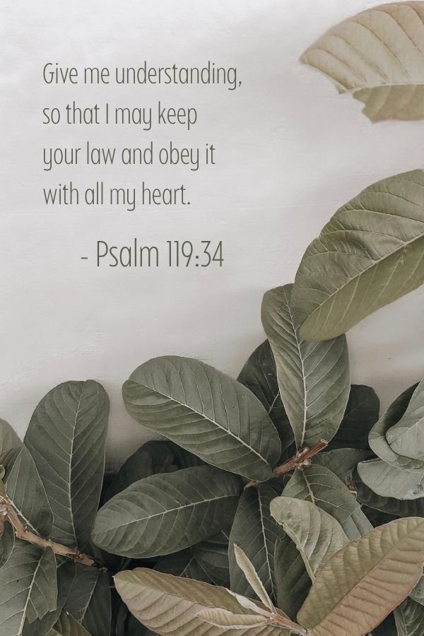 Free Bible Study Resources